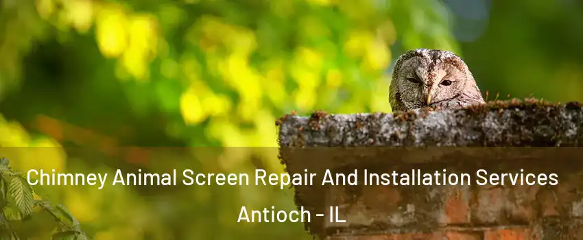  Chimney Animal Screen Repair And Installation Services Antioch - IL