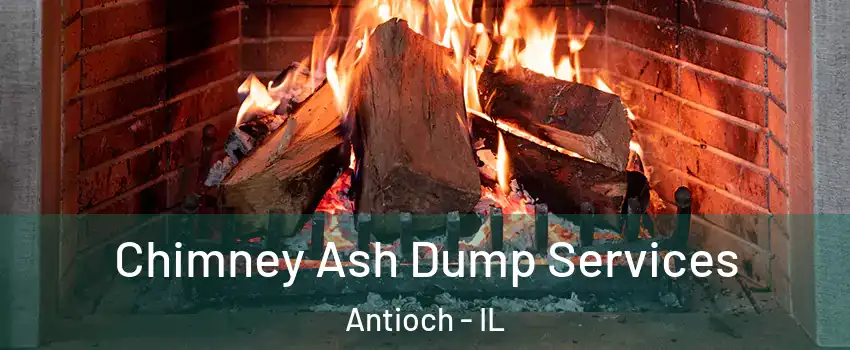  Chimney Ash Dump Services Antioch - IL