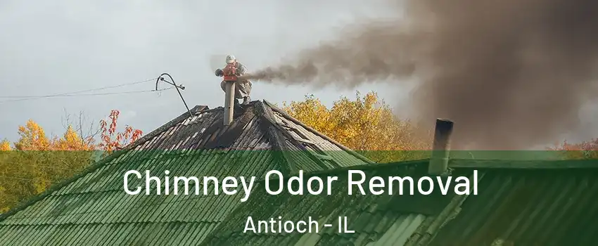  Chimney Odor Removal Antioch - IL