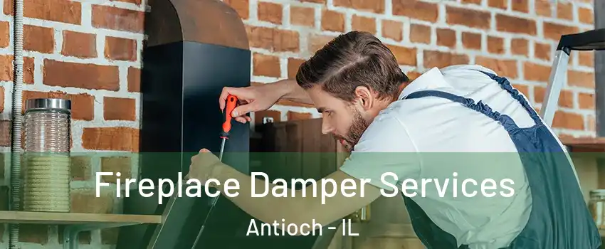  Fireplace Damper Services Antioch - IL