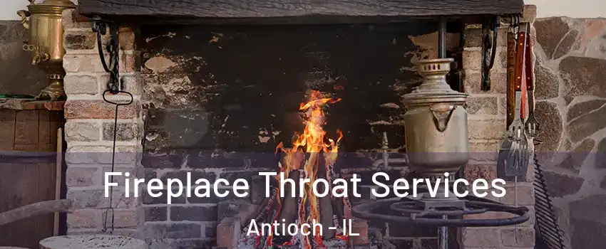  Fireplace Throat Services Antioch - IL