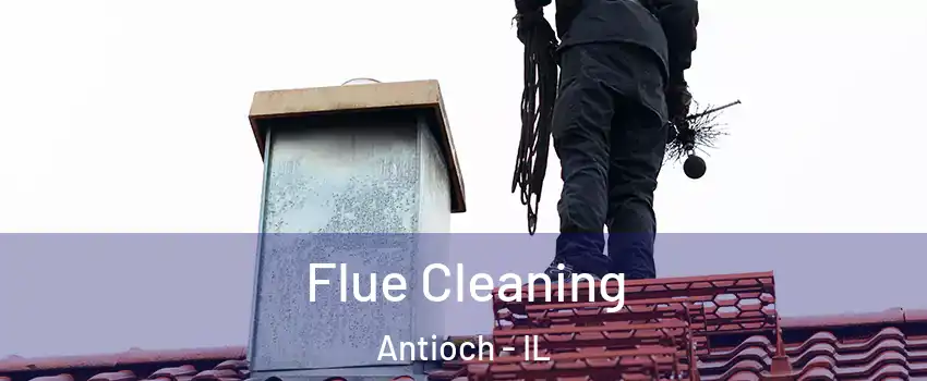  Flue Cleaning Antioch - IL