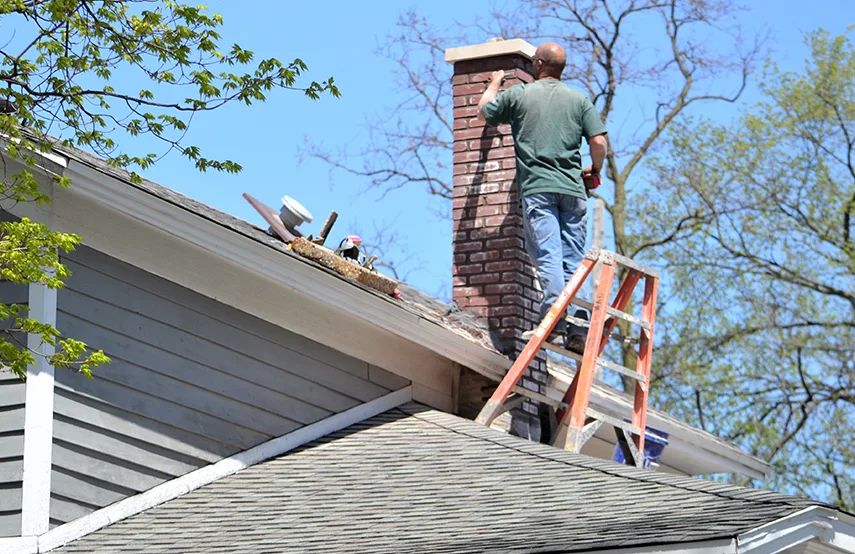 Chimney & Fireplace Inspections Services in Antioch, IL