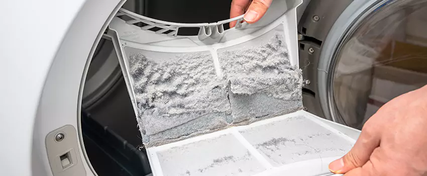 Best Dryer Lint Removal Company in Antioch, Illinois