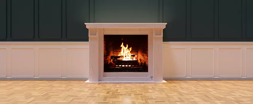Napoleon Electric Fireplaces Inspection Service in Antioch, Illinois