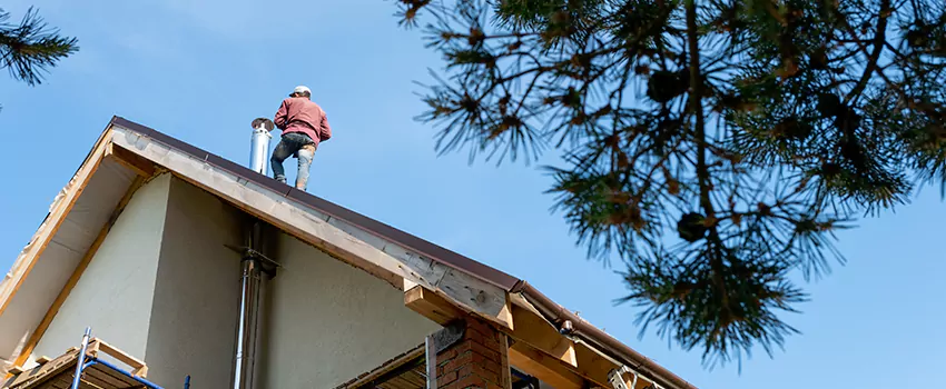 Birds Removal Contractors from Chimney in Antioch, IL