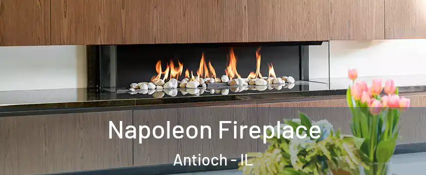  Napoleon Fireplace Antioch - IL